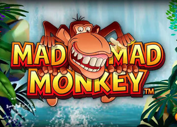 mad mad monkey: Real Review for Real Gamblers